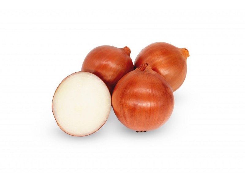 Magika F1 - семена лука 250 000 сем., Cora Seeds Magika F1 - семена лука 250 000 сем., Cora Seeds